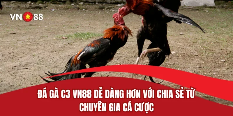 Đá Gà C3 VN88 Dễ Dàng Hơn Với Chia Sẻ Từ Chuyên Gia Cá Cược